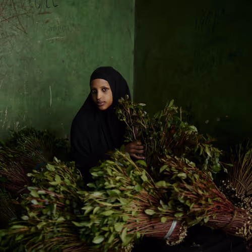 Ethiopia - Derartu, a Merchant, with Bundles of Ch’at