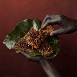 Ethiopia - Portraits - Raw honey gathered by Rome and Woretak  