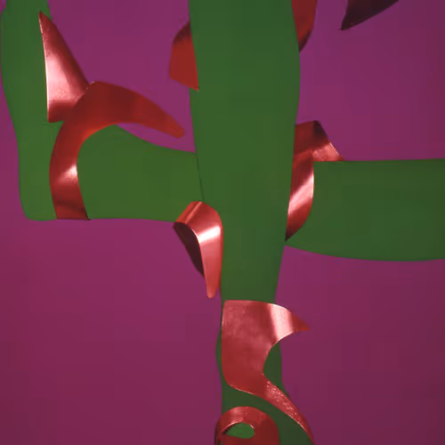 Rizzo Collection By Alberto Rizzo