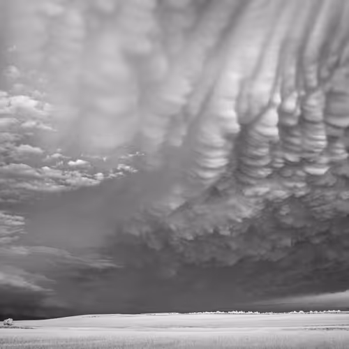 Storms - Mammatus and Trees