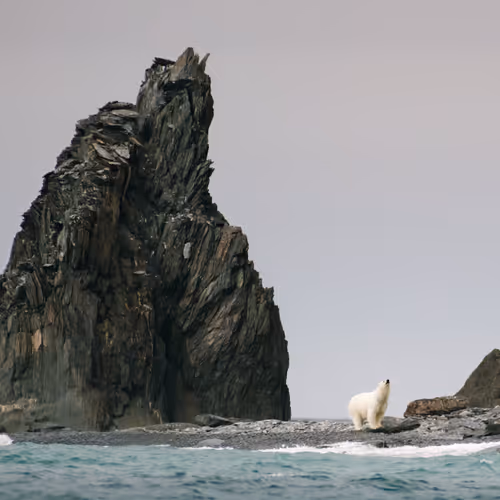 Rumors of Arctic Belonging - Waiting for Sea Ice, Herald Island
