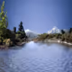 240065