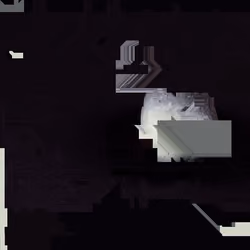 Traces - Lua