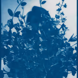 Anxious Pleasures - 2020_0912