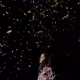 210033