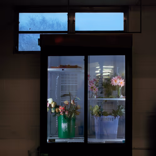 Talisman - Fridge of Flowers