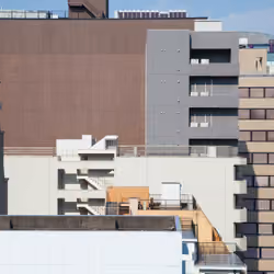 Tokyo Nude - Tokyo Nude 24