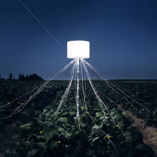 Back to Light - Beet Field Battery, LaJoie Growers LLC, Van Buren, Maine