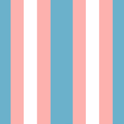 Trans Pride Flag