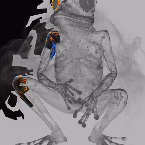 The Dissected Frog Horde