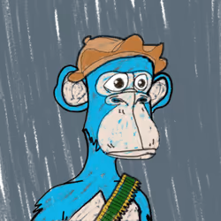 255