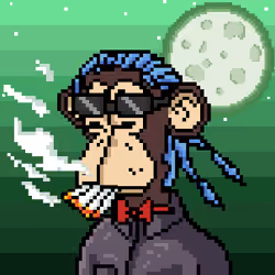 MoonApeRunners #3044