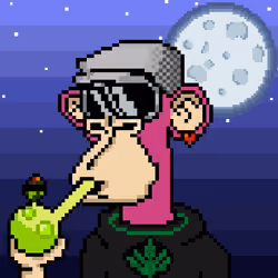 MoonApeRunners #2255