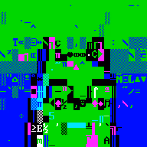 DOS TRASH BIRD 588