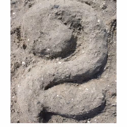 Twos Artifacts Editions