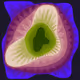 71