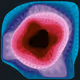 268