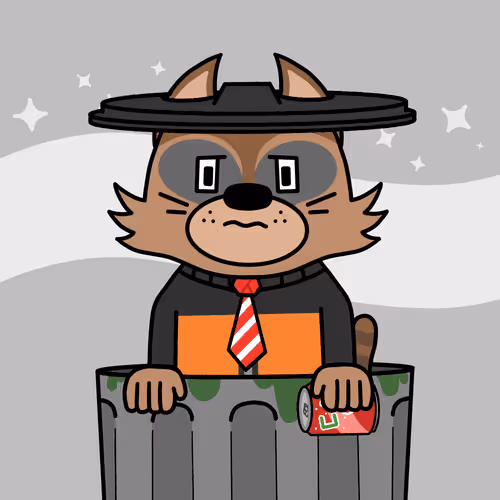 Racmoon