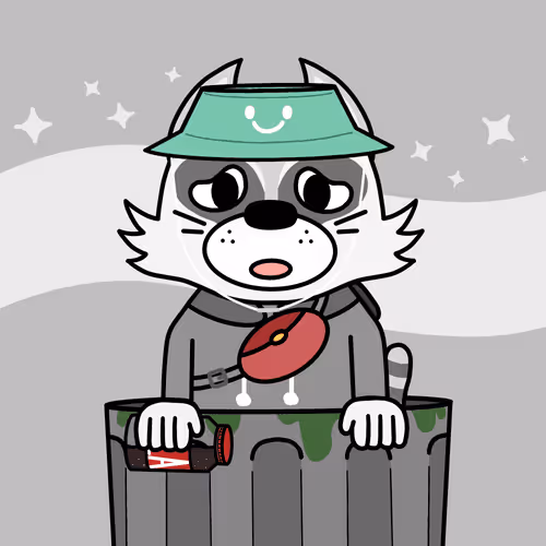 Racmoon