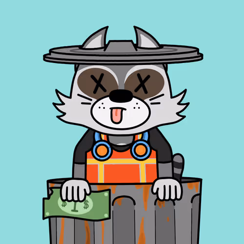 Racmoon