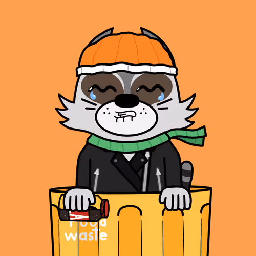 Racmoon