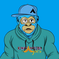 706