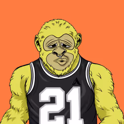 204