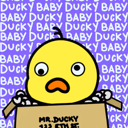 Baby Ducky #8532
