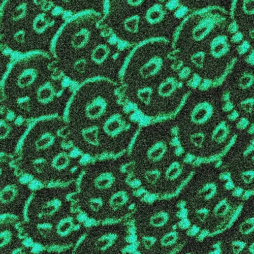 Osf5