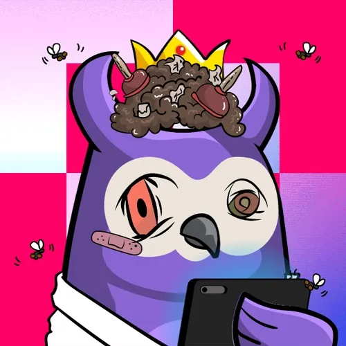 Saudisshitbirds