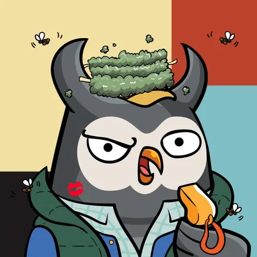 Saudisshitbirds