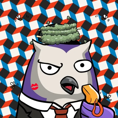 Saudisshitbirds