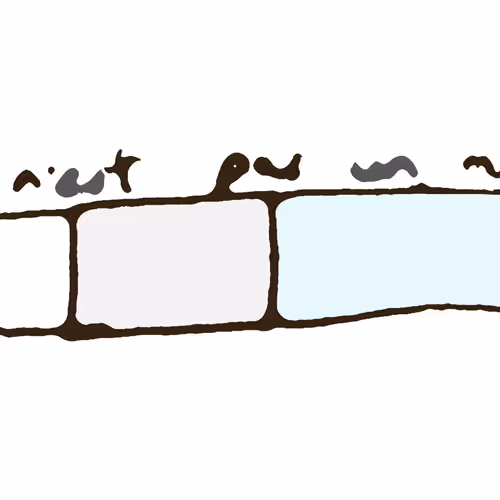 Wall Not Wall