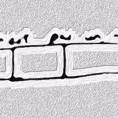 Wall Not Wall