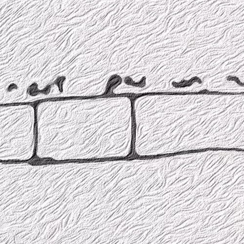 Wall Not Wall