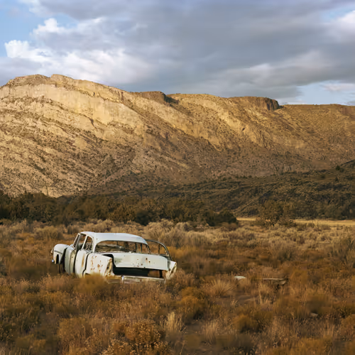 Joel Sternfeld New American Prospects