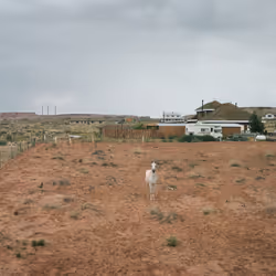 Page, Arizona, 1982 (Visible on the horizon are the emission stacks of the Navajo Generating Station which was the largest coal burning power plant in the West. The stacks and the plant were demolished in 2020).