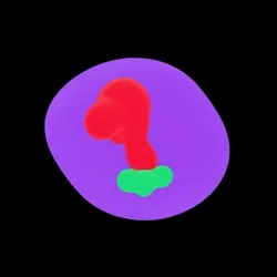 Abe #9662
