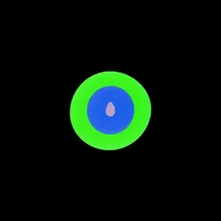 Pir #4253