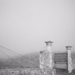 IMAGE 11