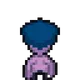 8202