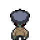 4629