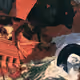 61