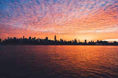 Item #8700030004 Media