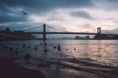 Item #8700070005 Media