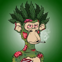 Stoned Ape #2494
