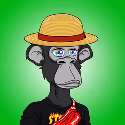 305