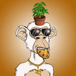Stoned Ape #381