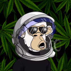 3608