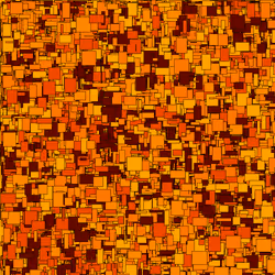 sun dried tomato